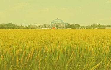 地点：综合205报告厅